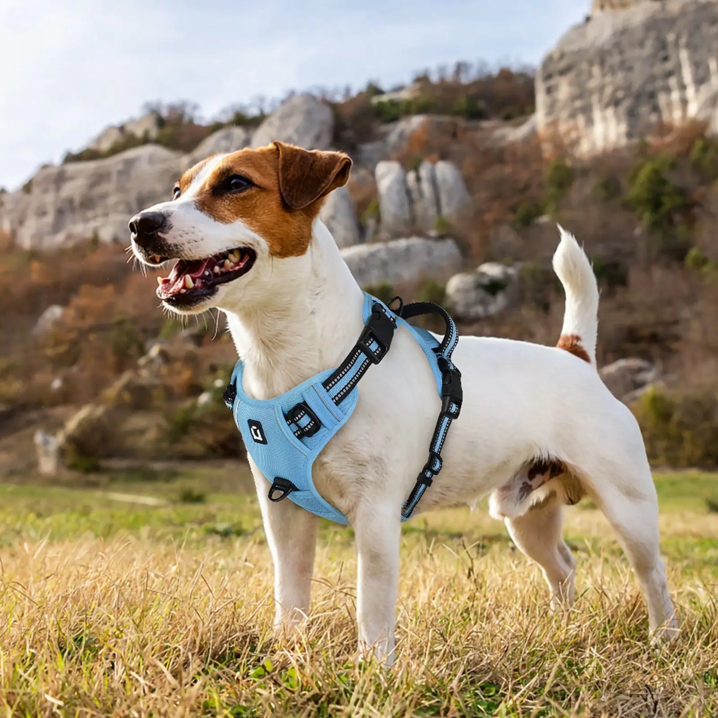 Dog Harness, Durable Reflective Harness, No-Pull Pet Harness with 2 Leash Clips, Adjustable Soft-Padded Dog Vest, Reflective No-Choke Oxford Pet Vest with Easy-Control Handle for Large Dogs