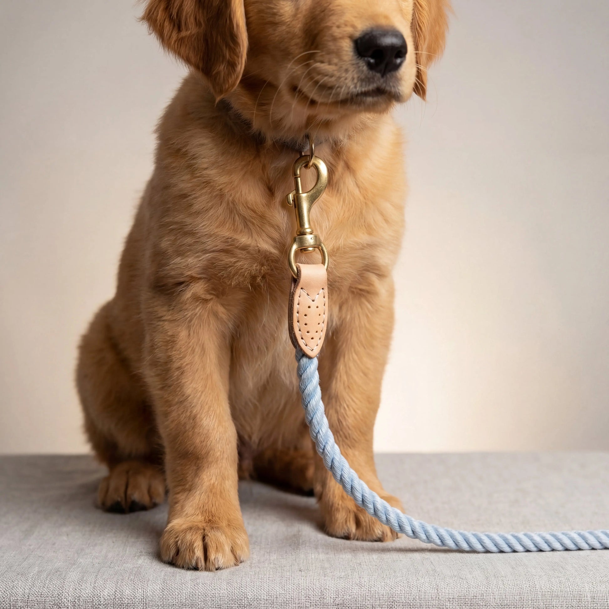 Braided Dog Leash