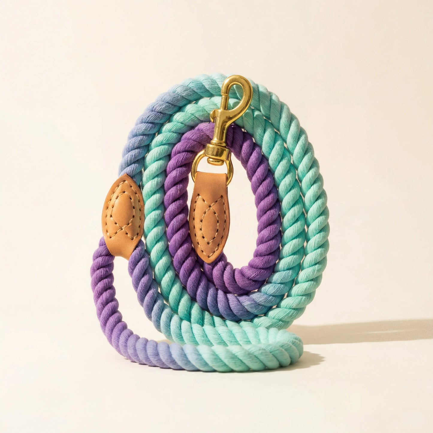 Braided Dog Leash