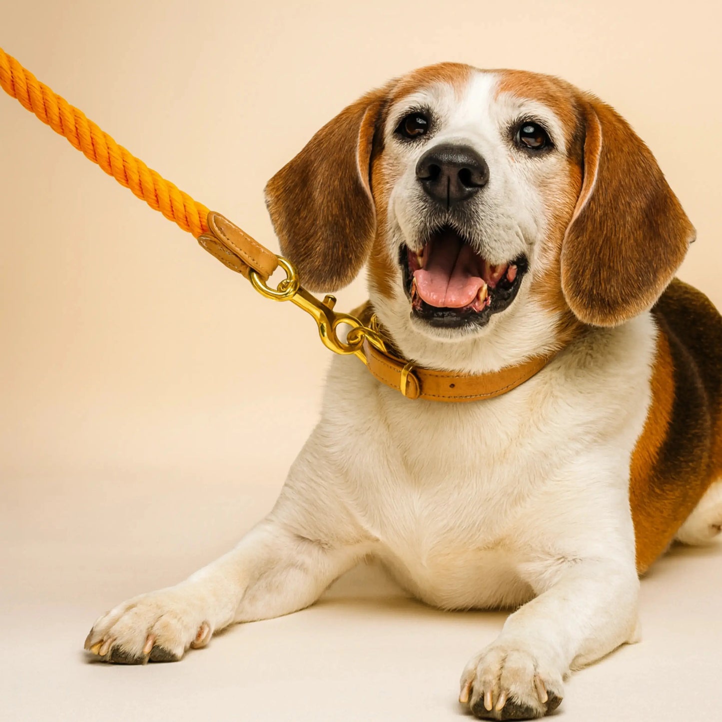 Braided Dog Leash