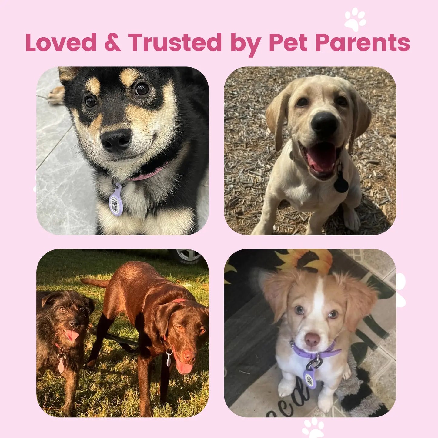 Pawview QR & NFC Dog ID Tag, Personalized Pet Profile, Emergency Contact & Scan Alert, Suitable for Collars and Harnesses Dog Accessories